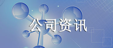 公司资讯